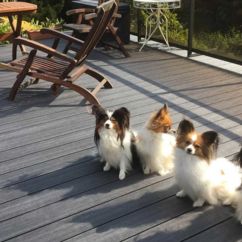 Tischlerei Berghahn, Norderstedt | Balkon Bodenbelag | Security Gang - Snoopys family