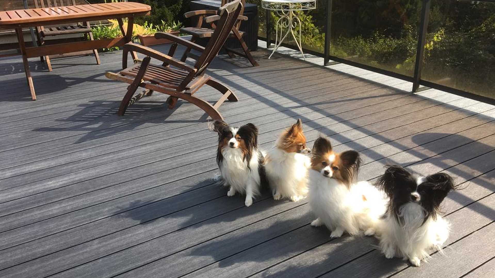Tischlerei Berghahn, Norderstedt | Balkon Bodenbelag | Security Gang - Snoopys family